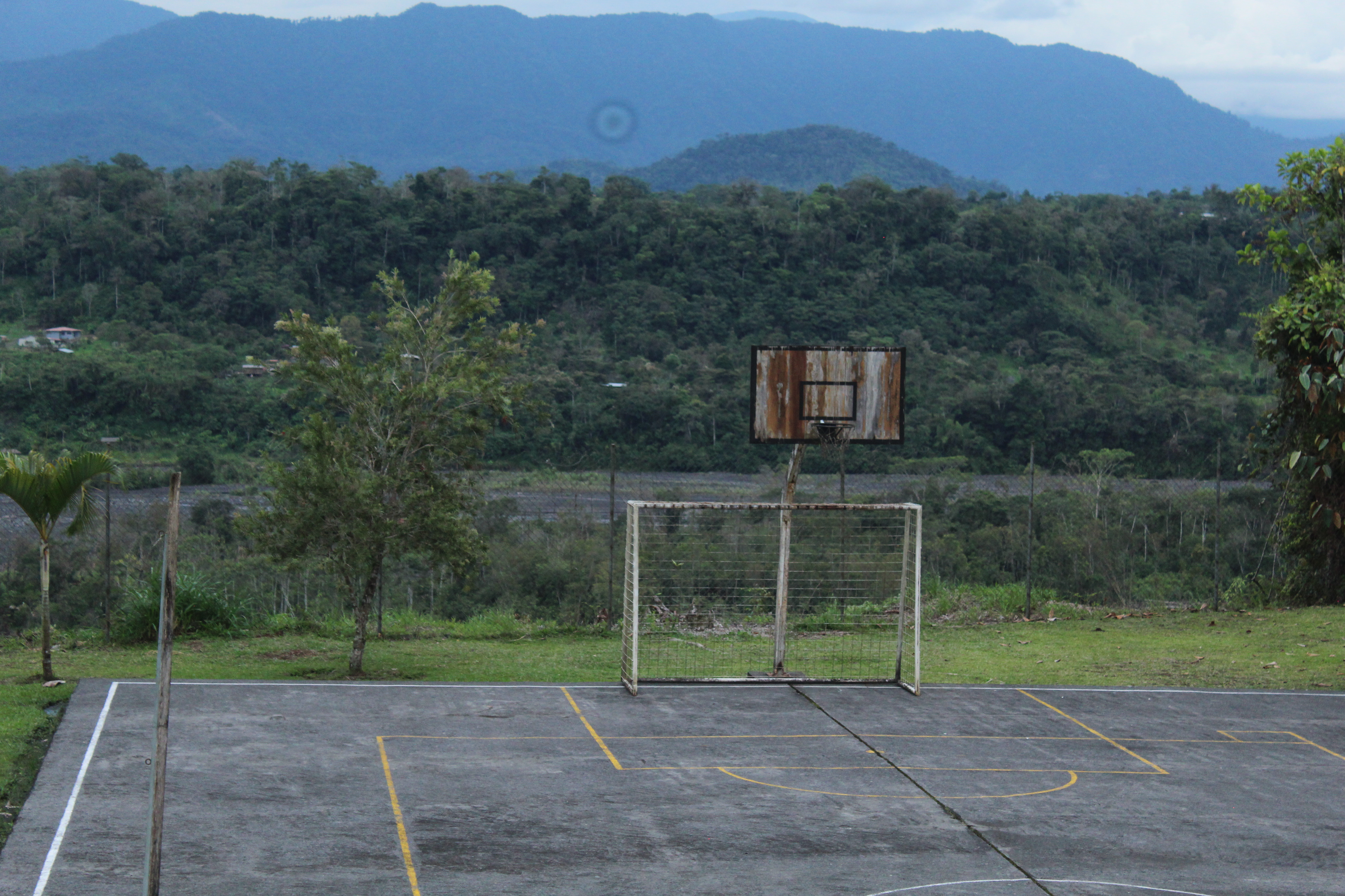 Casa de Renta - Imagen 7