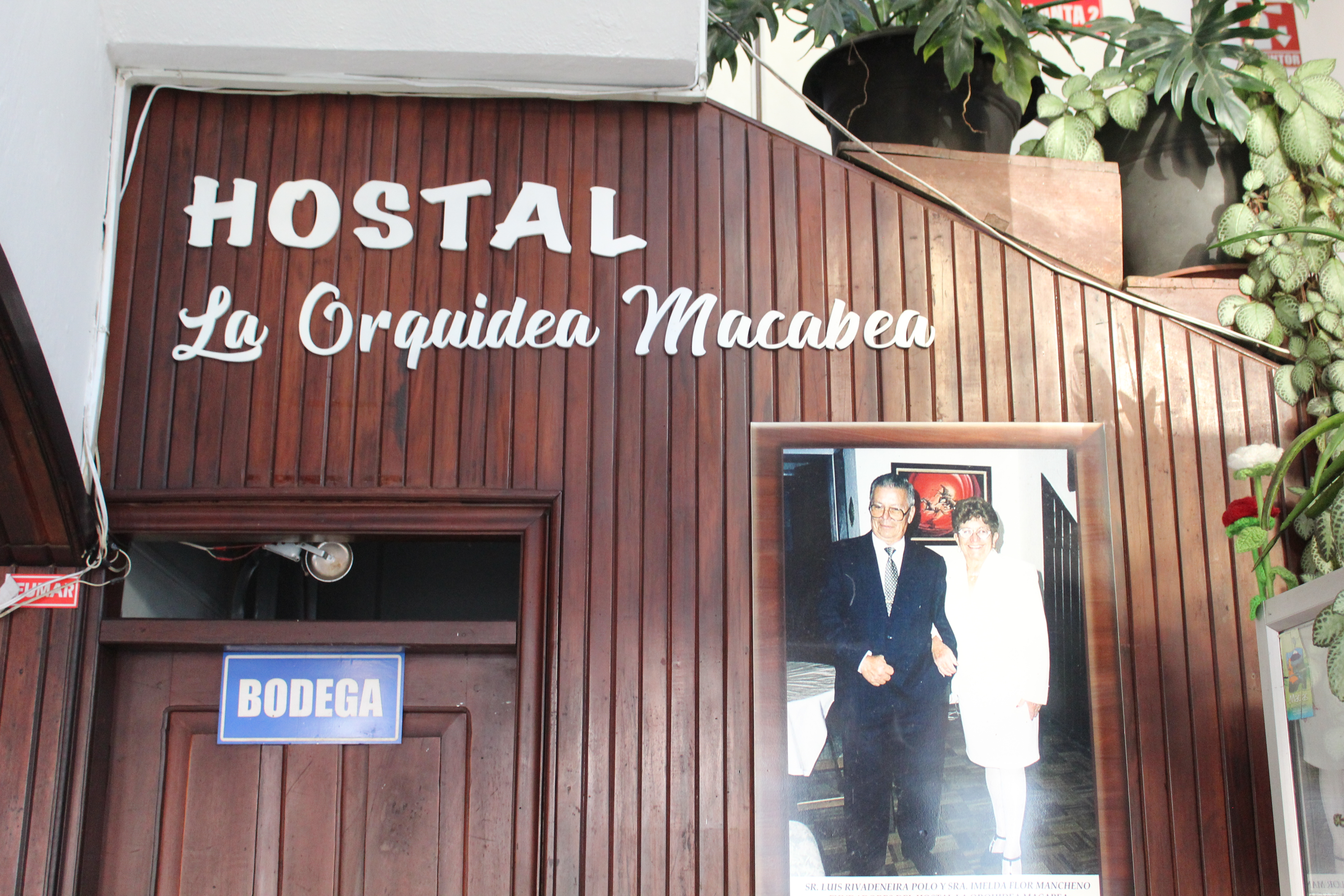 Vista panorámica de la selva amazónica desde el hotel